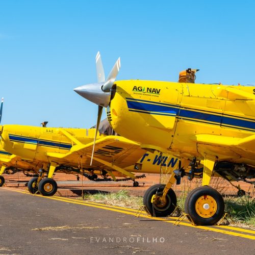 DSC_8478 DSC_8478